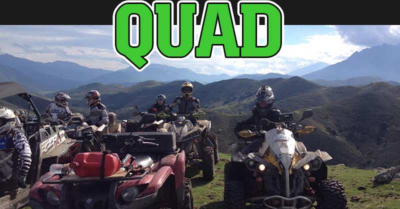 Quad Corse