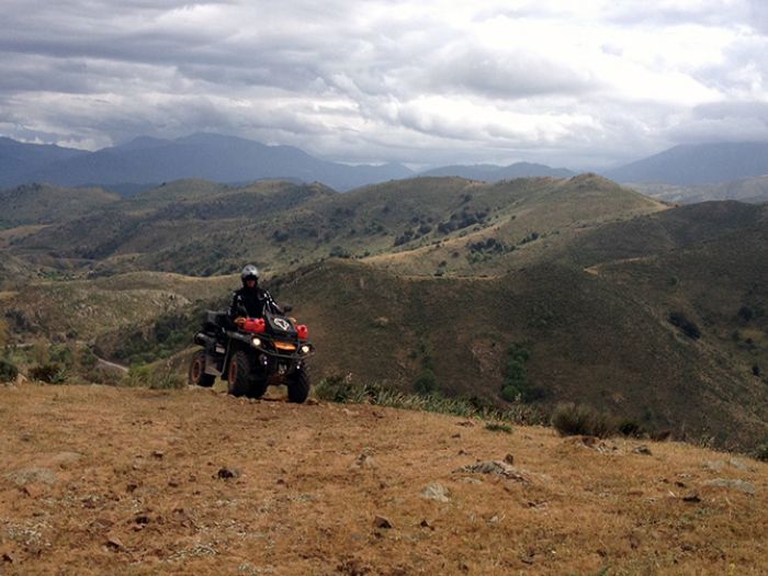 Quad Corse